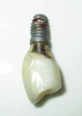 Baumgarten Harold S DMD