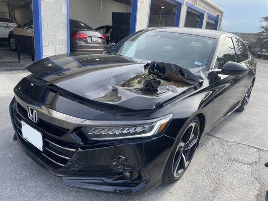 Hi-Tech Collision Network