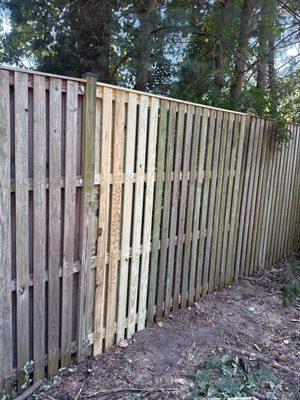 Albert J Jackson & Sons