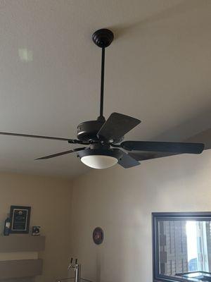 New living room fan.