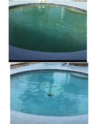 Shane's Pool Service