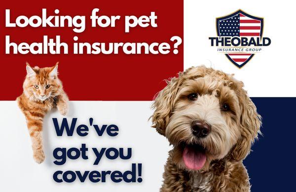 Looking for pet health insurance? Give us a call or purchase it straight from our website.