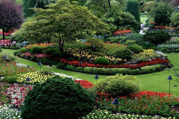 A & R Tree Service and Landscaping