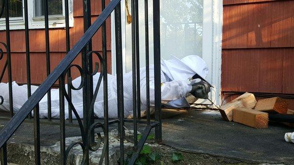 Ted Hill Pest Control