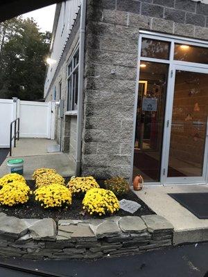 Gymnastics At Brentwood Commons