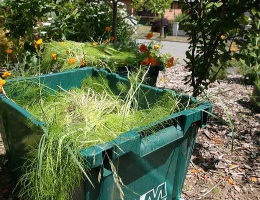 Nova Landscaping & Masonry Services