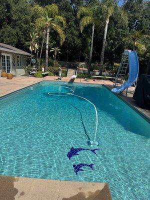 All Blue Pool Services