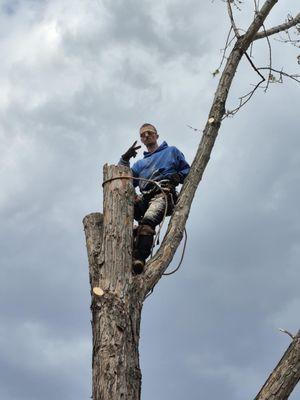 Kidwell & Son's Tree Service