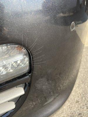 CARSTAR Collision Center Columbus East