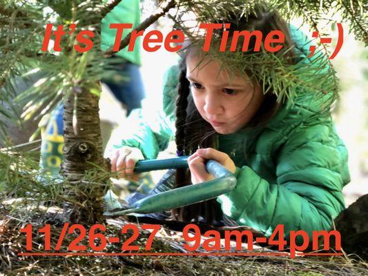 Beaverton Holiday UCut Christmas Tree Farm