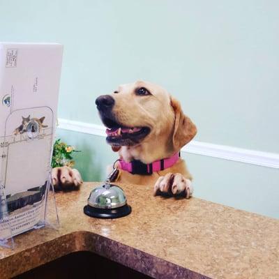 Midtown Animal Clinic of Ocala