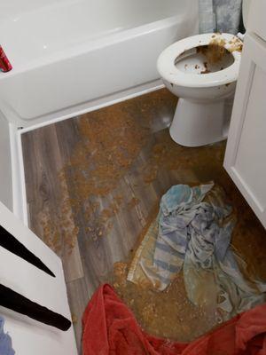 Maple Creek Apartments