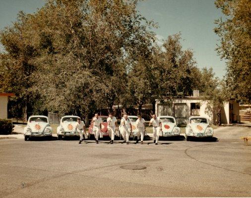 Lady Bug Pest Control