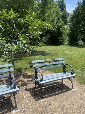 The Windy Hills Green