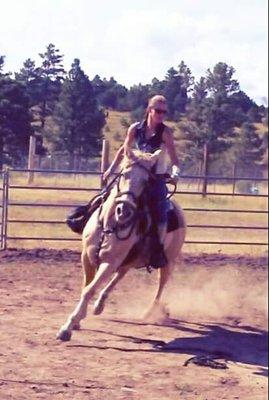 Spencers Rocken Horses