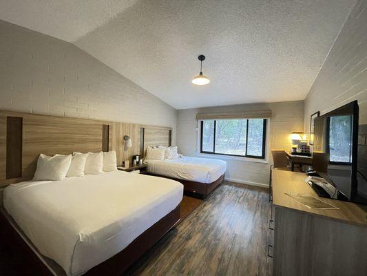 Room was clean and well maintained.