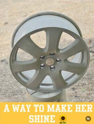 Memphis Sunflower Cleaning Service