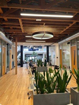 Kiva Cowork: State St