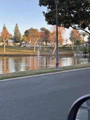 Plantation On the Lake
