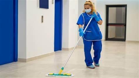 Vip Cleaning Services
