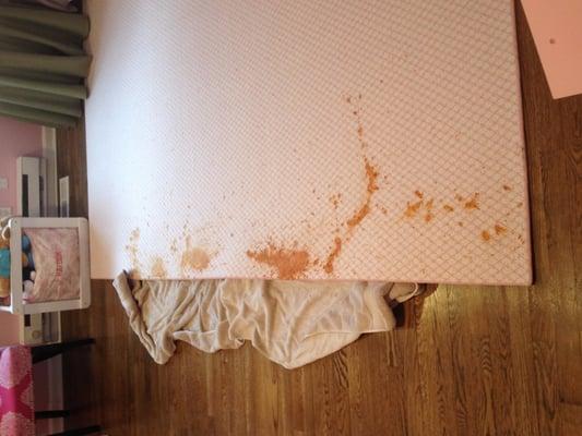 Bestway Carpet & Tile Cleaning