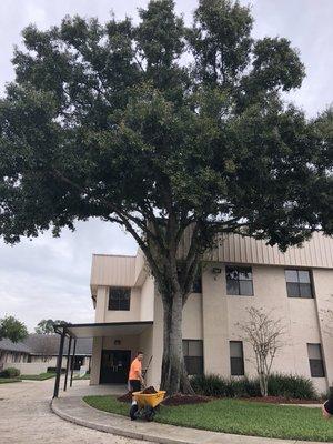 Top Care Ground Control