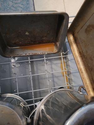 Affordable Well Drilling