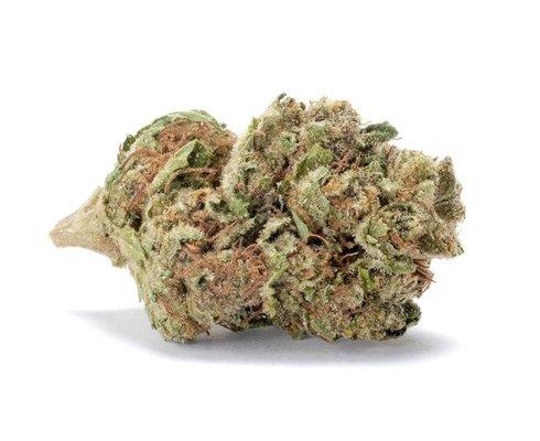 Strawberry Cough Sativa