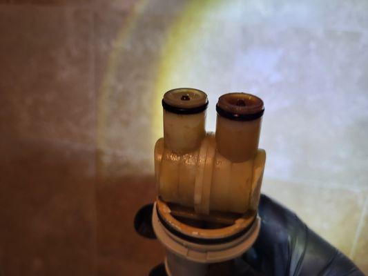 RDS Handyman Services