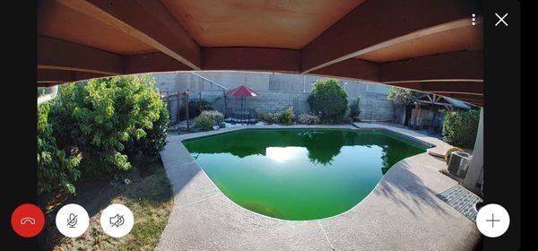 Crystal Clear Pool Service