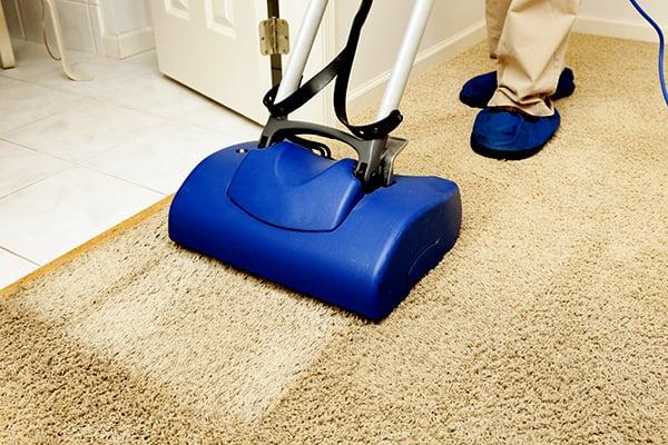 Mineola Carpet Cleaning Experts