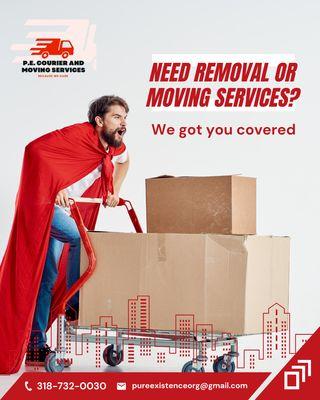 Pure Existence Organization