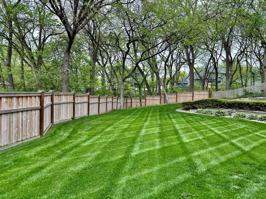 Tiger Stripe Lawn Care