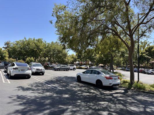 That's some high quality parking right there.