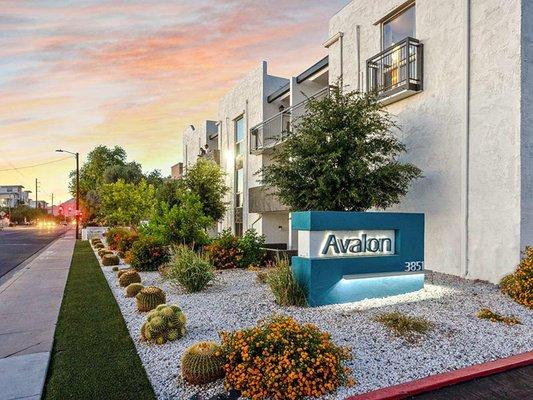 Avalon Apartments