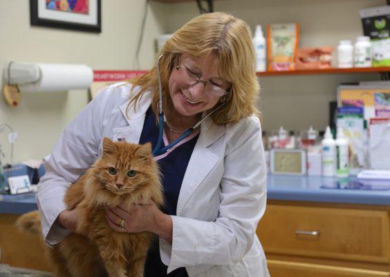 Parkway Animal Hospital