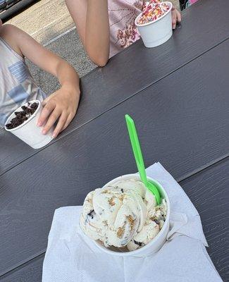My ice cream is in the foreground. The girls' strawberry and black raspberry are in the background. All size small.