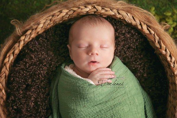 Darlenes Photography