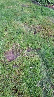 XS Kevin's Landscaping Service & Snow Removal