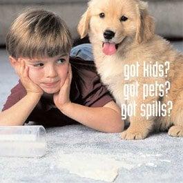 That's enough reasons to Call Nichols Carpet Cleaning