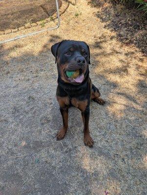 The stubborn boy himself!