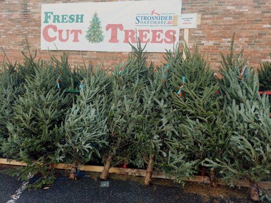 Strosniders Hardware