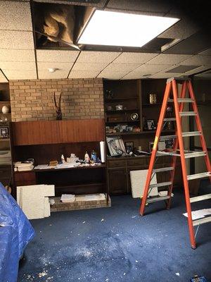 Ecologies General Services