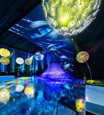 immersive experience