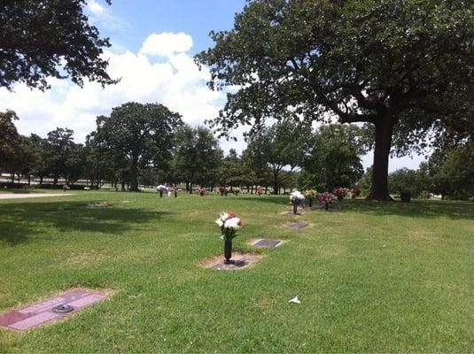 Bluebonnet Hills Funeral Home & Memorial Park