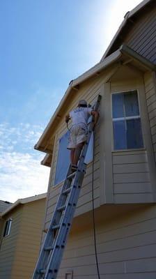 Great Northwest Painting