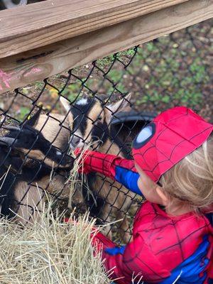 We love Parkside Dayschool. They provide a safe and loving environment for my kiddo. We feel fortunate to have them in our life.