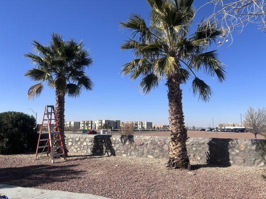 Magic Garden Landscaping Service