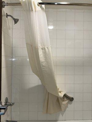 This was the bathroom. That's gross.