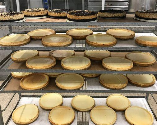 Leo's Sweet Sensations